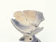 FileNo.080-220.jpg
