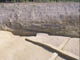 FileNo.081b-002.jpg