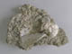 FileNo.081b-027.jpg