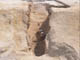 FileNo.081a-003.jpg