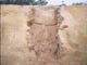 FileNo.081a-007.jpg