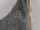FileNo.081a-012.jpg
