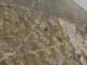 FileNo.081a-013.jpg