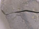 FileNo.081a-016.jpg