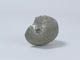 FileNo.081a-094.jpg