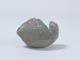 FileNo.081a-095.jpg