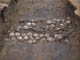 FileNo.081c-003.jpg