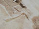 FileNo.081c-005.jpg