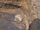 FileNo.081c-007.jpg