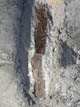 FileNo.082-001.jpg
