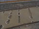 FileNo.082-005.jpg