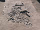 FileNo.083-004.jpg
