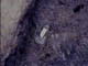 FileNo.083-006.jpg