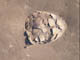 FileNo.083-015.jpg