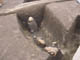 FileNo.083-018.jpg