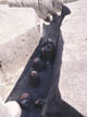 FileNo.083-022.jpg