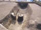 FileNo.083-023.jpg
