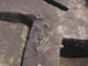 FileNo.083-036.jpg