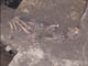 FileNo.083-037.jpg