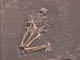 FileNo.083-042.jpg