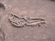 FileNo.083-043.jpg