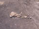 FileNo.083-046.jpg