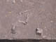 FileNo.083-050.jpg