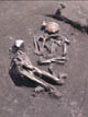 FileNo.083-051.jpg