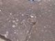 FileNo.083-053.jpg