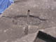 FileNo.083-057.jpg