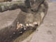 FileNo.083-063.jpg