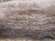 FileNo.083-072.jpg