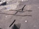 FileNo.083-085.jpg