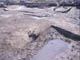 FileNo.083-094.jpg