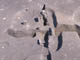 FileNo.083-106.jpg