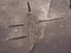 FileNo.083-118.jpg