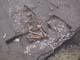 FileNo.083-127.jpg