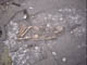 FileNo.083-130.jpg