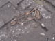 FileNo.083-131.jpg