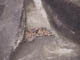 FileNo.083-142.jpg