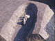 FileNo.083-148.jpg