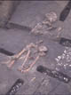 FileNo.083-150.jpg