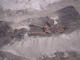FileNo.083-151.jpg
