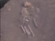 FileNo.083-156.jpg