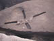 FileNo.083-157.jpg