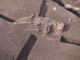 FileNo.083-158.jpg