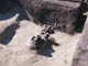 FileNo.083-159.jpg