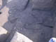 FileNo.083-168.jpg
