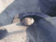 FileNo.083-197.jpg