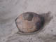 FileNo.083-198.jpg
